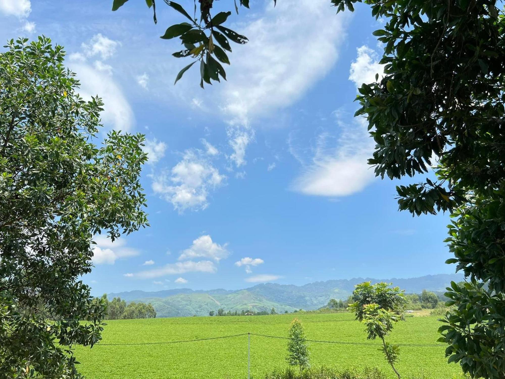 Happy Homestay Nghia Lo 외부 사진